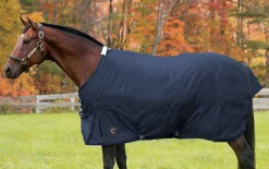 CWEAR BRANCH Rider’s International™ Supreme Medium-Weight Turnout Blanket- Turnout Blankets