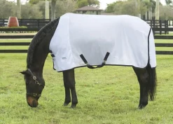 INTEX EQUESTRIAN Rider’s International™ Fly Sheet- Fly Control|Fly Sheets