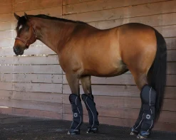 KARTIKEYA INTL Rider’s International™ Shipping Boot Set- Trailering