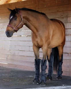 KARTIKEYA INTL Rider’s International™ Shipping Boot Set- Trailering