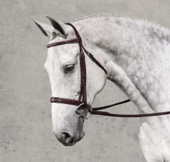 ERS Rodrigo Classic Hunter Bridle- English Bridles