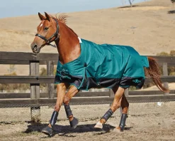 WEATHERBEETA Saxon 1200D Medium-Weight Blanket with Gussets & Standard Neck II- Turnout Blankets
