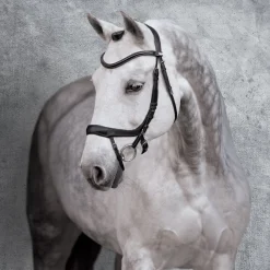 SCHOCKEMOEHLE N.A. Schockemöhle Equitus Alpha Bridle- English Bridles
