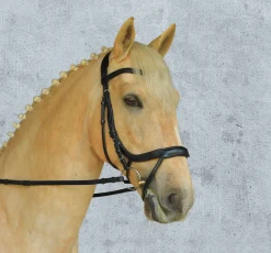 SCHOCKEMOEHLE N.A. Schockemöhle Equitus Alpha Bridle- English Bridles