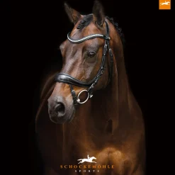 SCHOCKEMOEHLE N.A. Schockemöhle Equitus Beta Bridle- English Bridles
