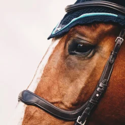 SCHOCKEMOEHLE N.A. Schockemöhle Equitus Delta Bridle- English Bridles