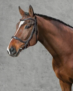 SCHOCKEMOEHLE N.A. Schockemöhle Equitus Delta Bridle- English Bridles