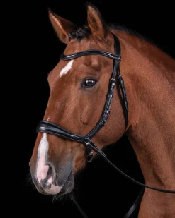 SCHOCKEMOEHLE N.A. Schockemöhle Equitus Theta Bridle- English Bridles