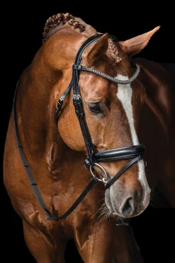 SCHOCKEMOEHLE N.A. Schockemöhle Malaga Bridle- English Bridles