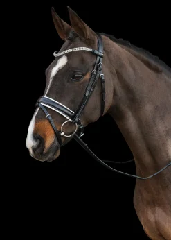SCHOCKEMOEHLE N.A. Schockemöhle Malaga Bridle- English Bridles