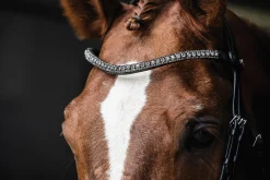 SCHOCKEMOEHLE N.A. Schockemöhle Malaga Bridle- English Bridles