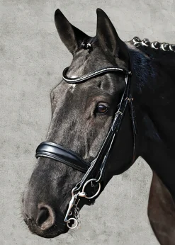SCHOCKEMOEHLE N.A. Schockemöhle Milan Anatomical Double Bridle- English Bridles