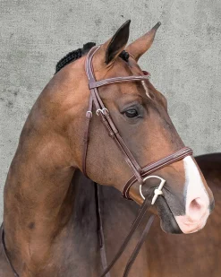 SCHOCKEMOEHLE N.A. Schockemöhle Montreal Select Anatomic Hunter Bridle- English Bridles