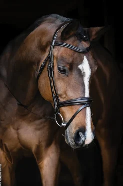 SCHOCKEMOEHLE N.A. Schockemöhle Monza Bridle- English Bridles