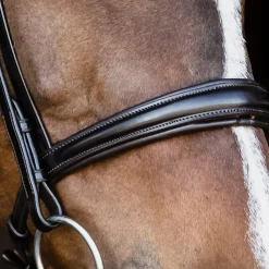 SCHOCKEMOEHLE N.A. Schockemöhle Monza Bridle- English Bridles