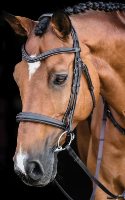 SCHOCKEMOEHLE N.A. Schockemöhle Monza Fancy Stitched Bridle- English Bridles
