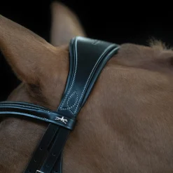SCHOCKEMOEHLE N.A. Schockemöhle Monza Fancy Stitched Bridle- English Bridles