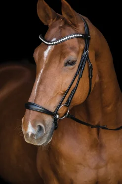 SCHOCKEMOEHLE N.A. Schockemöhle Pisa Drop Nose Bridle- English Bridles
