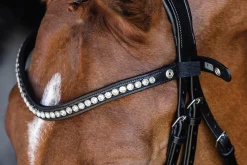 SCHOCKEMOEHLE N.A. Schockemöhle Pisa Drop Nose Bridle- English Bridles