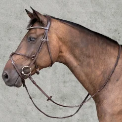 SCHOCKEMOEHLE N.A. Schockemöhle Rio Select Anatomic Figure-8 Bridle- English Bridles