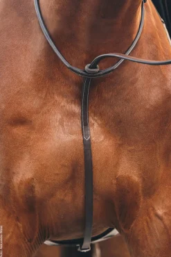 SCHOCKEMOEHLE N.A. Schockemöhle Santa Clara Standing Martingale- Martingales & Breastplates