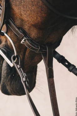 SCHOCKEMOEHLE N.A. Schockemöhle Santa Clara Standing Martingale- Martingales & Breastplates