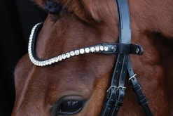 SCHOCKEMOEHLE N.A. Schockemöhle Siena Browband- Bridle Parts & Accessories