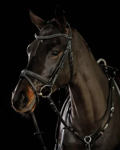 SCHOCKEMOEHLE N.A. Schockemöhle Tokyo F Bridle- English Bridles