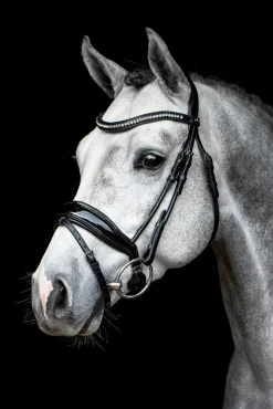 SCHOCKEMOEHLE N.A. Schockemöhle Malibu Bridle- English Bridles