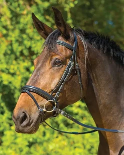SHIRES EQUESTRIAN Shires Avignon Aspen Bridle- English Bridles