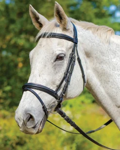 SHIRES EQUESTRIAN Shires Avignon Louisville Bridle- English Bridles