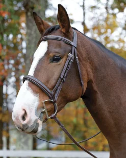 SHIRES EQUESTRIAN Shires Avignon Ocala Bridle- English Bridles