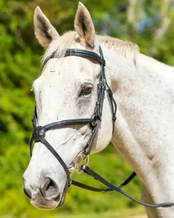 SHIRES EQUESTRIAN Shires Avignon Woodside Bridle- English Bridles