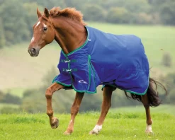 SHIRES EQUESTRIAN Shires Highlander 200G Blanket- Turnout Blankets