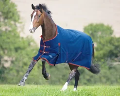 SHIRES EQUESTRIAN Shires Highlander 300G Blanket- Turnout Blankets