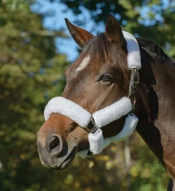 SHIRES EQUESTRIAN Shires SupaFleece Halter Fleeces - 9 piece set- Trailering|Halter Accessories