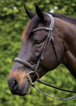 PUSHKAR INTL Showmark® Ergonomic Hunter Bridle- English Bridles