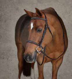 HARMOHN KRAFT Showmark® Premier Padded Pony Hunter Bridle- English Bridles