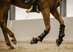 STUBBEN N.A. Stübben Airflow Fleece-Lined Brushing Boots- Horse Boots