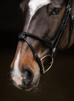 STUBBEN N.A. Stübben Pro Jump Bridle with Rope Noseband & Removable Flash- English Bridles