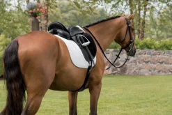 CUSTOM SADDLERY Steffen's Advantage Buffalo Single Flap Dressage Saddle- English Saddles