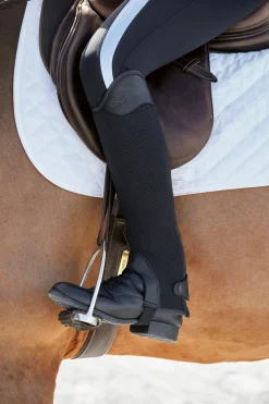 TEXT HORSE Stride™ Ladies’ Coolmesh Half Chaps- Half Chaps