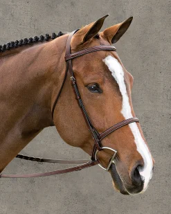 KINGS INTERNATIONAL Suffolk™ Classic Hunter Bridle- English Bridles