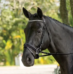 KINGS INTERNATIONAL Suffolk™ Curved Browband- Bridle Parts & Accessories