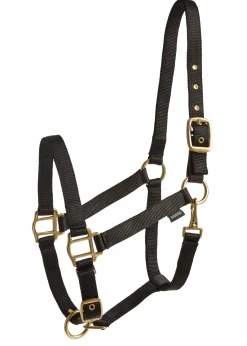 TEXT HORSE Suffolk™ Heavy Nylon Breakaway Halter with Fuse- Halters