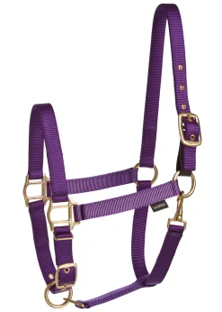 TEXT HORSE Suffolk™ Heavy Nylon Breakaway Halter with Fuse- Halters