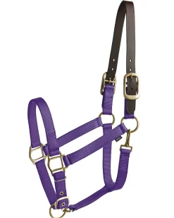 TEXT HORSE Suffolk™ Heavy Nylon Halter with Breakaway Crown- Halters