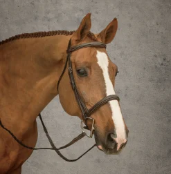 KINGS INTERNATIONAL Suffolk™ Hunter Bridle- English Bridles