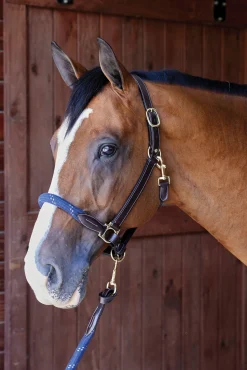 PUSHKAR INTL Suffolk™ Leather & Rope Halter with Lead- Halters