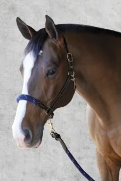 PUSHKAR INTL Suffolk™ Leather & Rope Halter with Lead- Halters